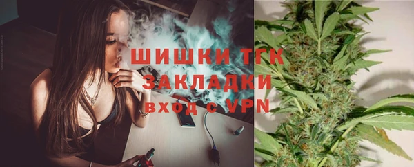 шишки Алексин