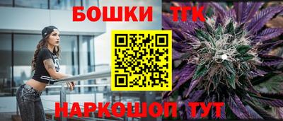 индика Волгодонск